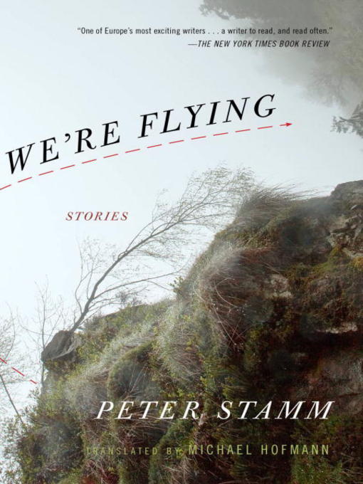 Cover image for We're Flying